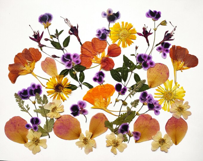 Edible Flowers for Christmas Cake Decoration, Edible Pressed Flowers, Pressed Flowers for Cake