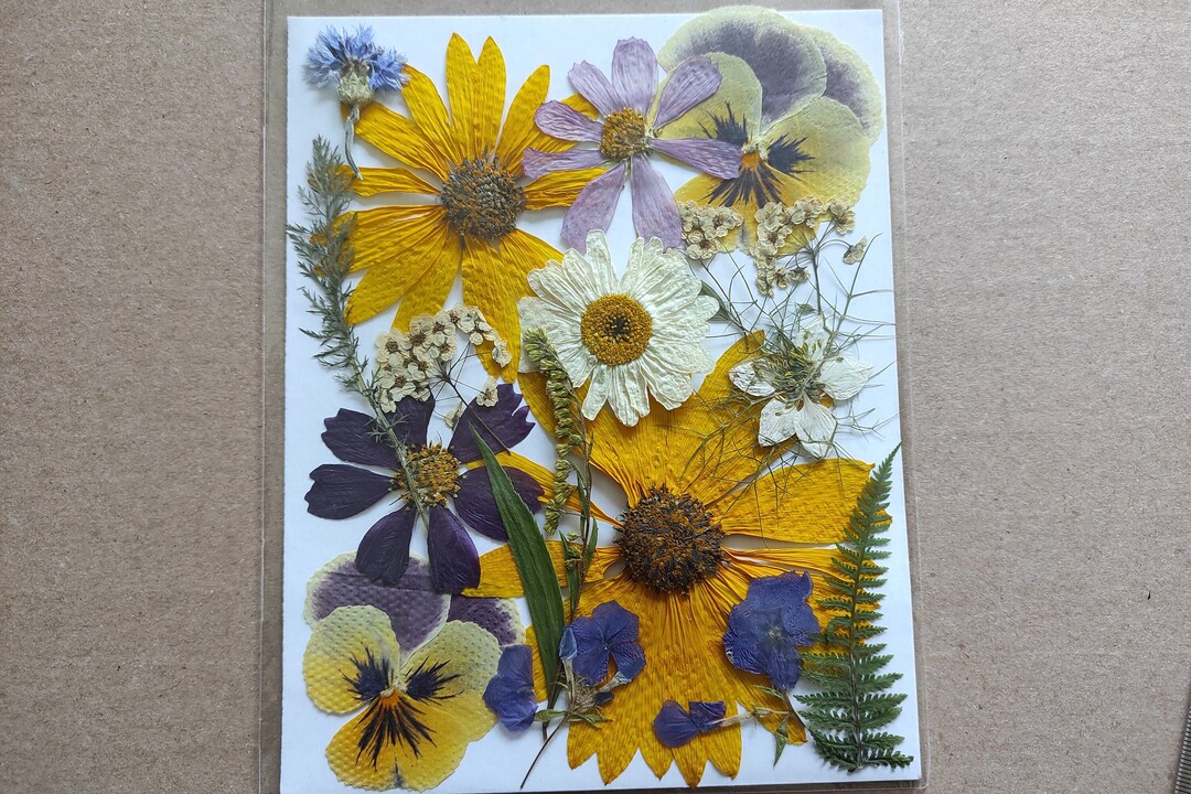 Edible Flowers for Cake Decoration Edible Pressed Flowers Etsy