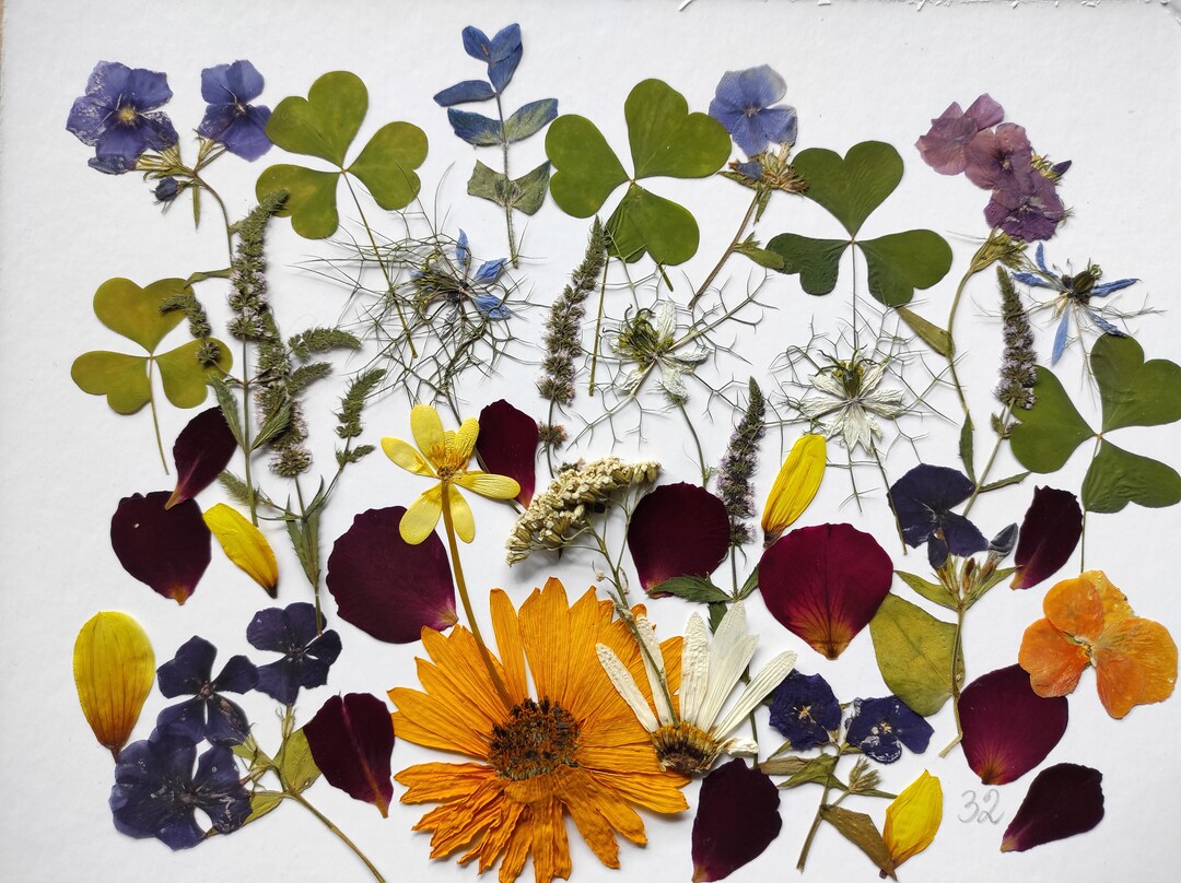 Pressed Flowers for Cakes Edible Flowers for Cake Decoration, Edible Pressed Flowers, Pressed