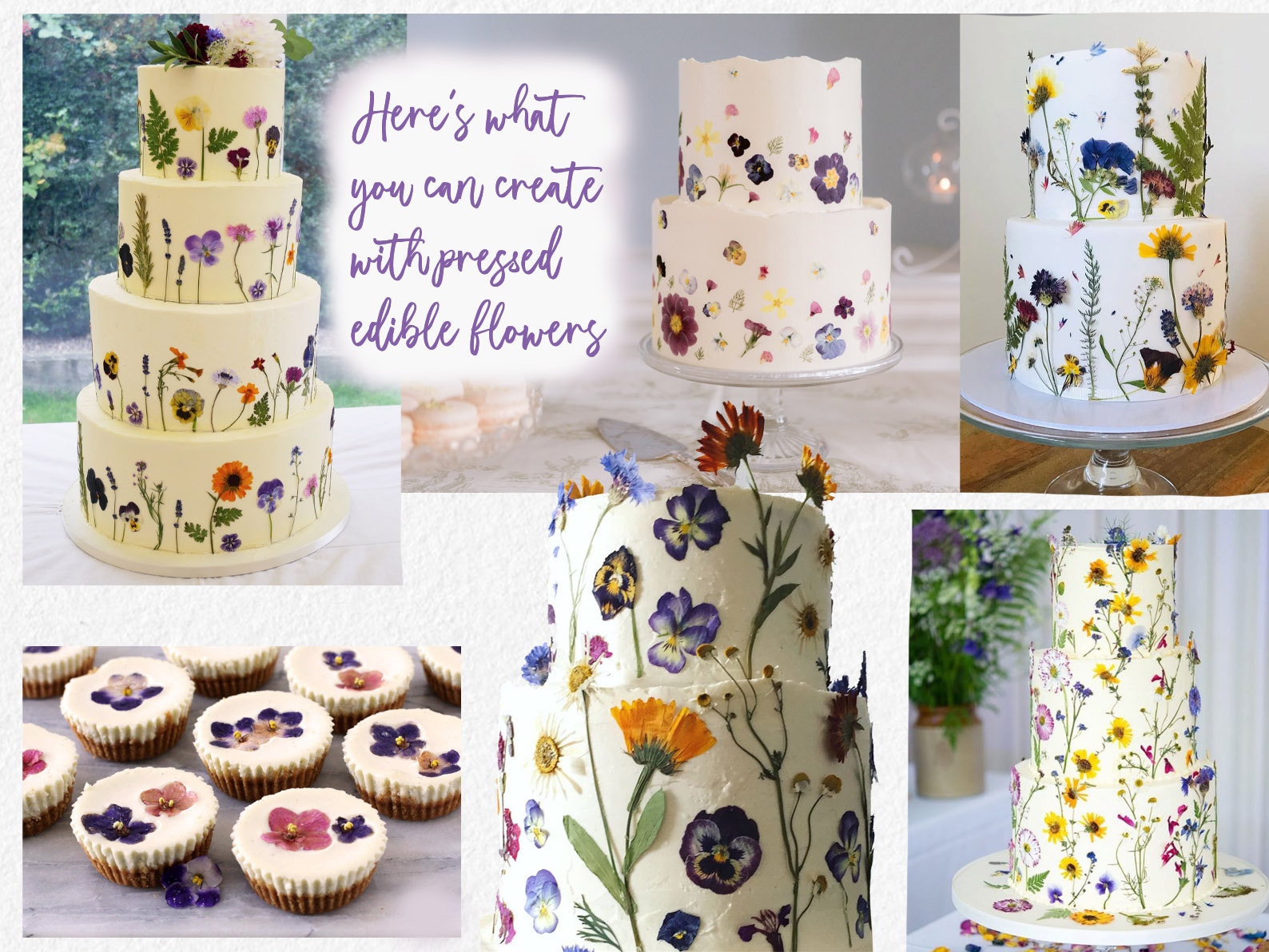 Edible Flowers for Cake Decoration, Edible Pressed Flowers, Pressed Flowers for Cake Decorations