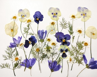 Perfect for Wedding Cakes & Cupcakes, Edible flowers for cake decoration, Edible pressed flowers, Pressed flowers for cake decorations, art