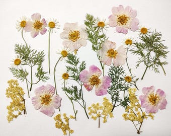 Edible flowers for cake decoration, Edible pressed flowers, Pressed flowers for cake decorations, Pressed flowers, Mixed pressed flowers