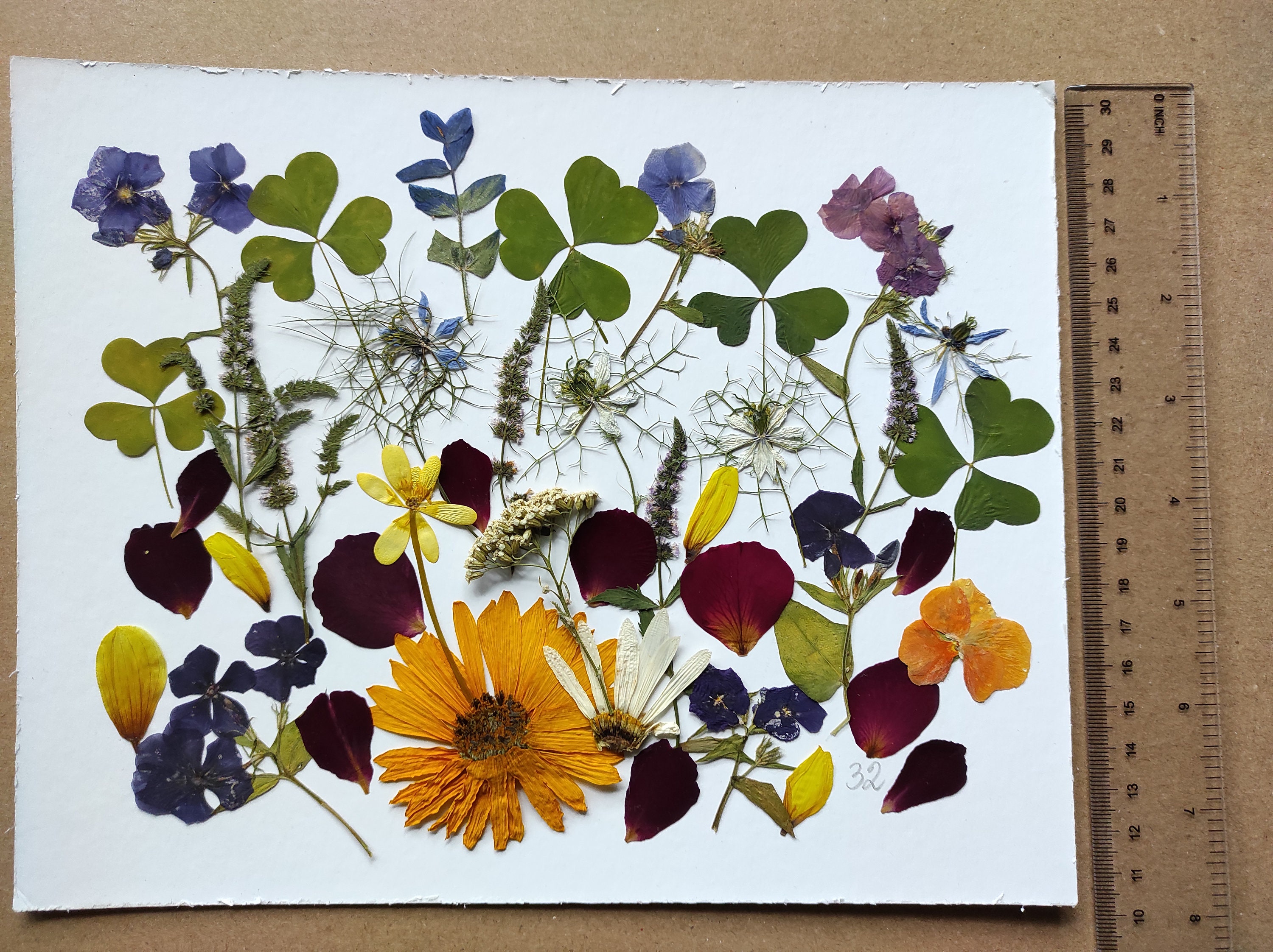 Pressed Flowers for Cakes Edible Flowers for Cake Decoration, Edible