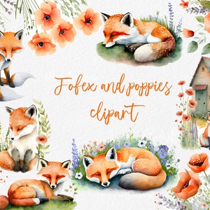 Mohn Aquarell Blumen Clipart, Fuchs Clipart, rote Blume Blumenstrauß Clipart für Boho Hochzeitseinladung. Sommerwiese Blumen