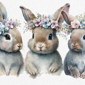 Cute Watercolour Baby bunny Clipart Bundle with flowers, Nursery Art, cute brown bunnies with pink roses, spring, easter themed clipart