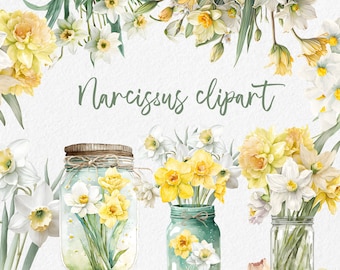 Daffodil Clipart, Watercolor flowers clipart narcissus, bouquet clipart, spring flower, Sublimation Digital Downloads