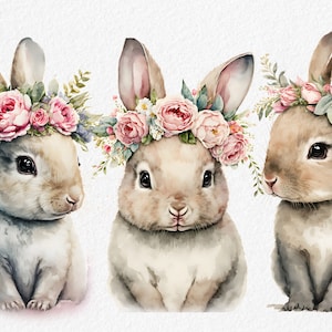 Süße Aquarell Baby Hase Clipart Bundle mit Blumen, Kinderzimmer Kunst, süße braune Hasen mit rosa Rosen, Frühling, Cliparts zum Thema Ostern