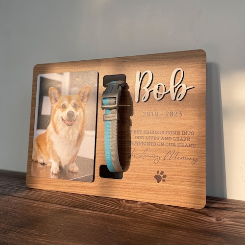 Collier commémoratif pour animal de compagnie, cadre en bois commémoratif pour chien avec support de collier, cadeaux commémoratifs pour chien, cadeaux en cas de perte d'un animal de compagnie, cadeau de sympathie pour animal de compagnie, cadeau de perte d'animal de compagnie MP02