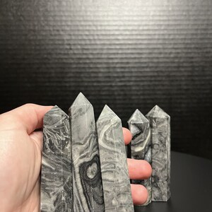 May include: Five grey and black striped crystal points, also known as petrified wood points, are arranged in a row in a hand. The points are approximately 5 cm long.