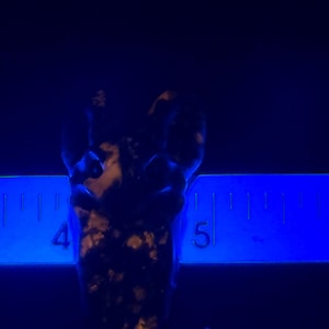 May include: A dark, irregularly shaped rock with patches of orange and white, illuminated by a blue light. A ruler with inch markings is placed next to the rock, measuring approximately 1 inch in length.