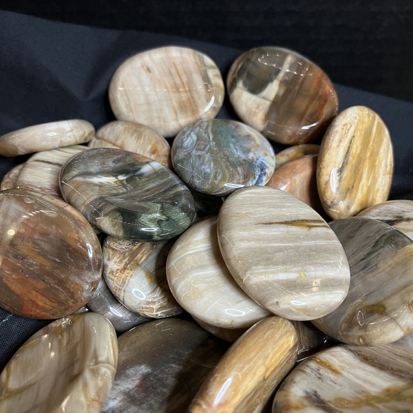 Petrified Wood Worry Stone, Thumb Stone, Natural Worry Stone, Metaphysical