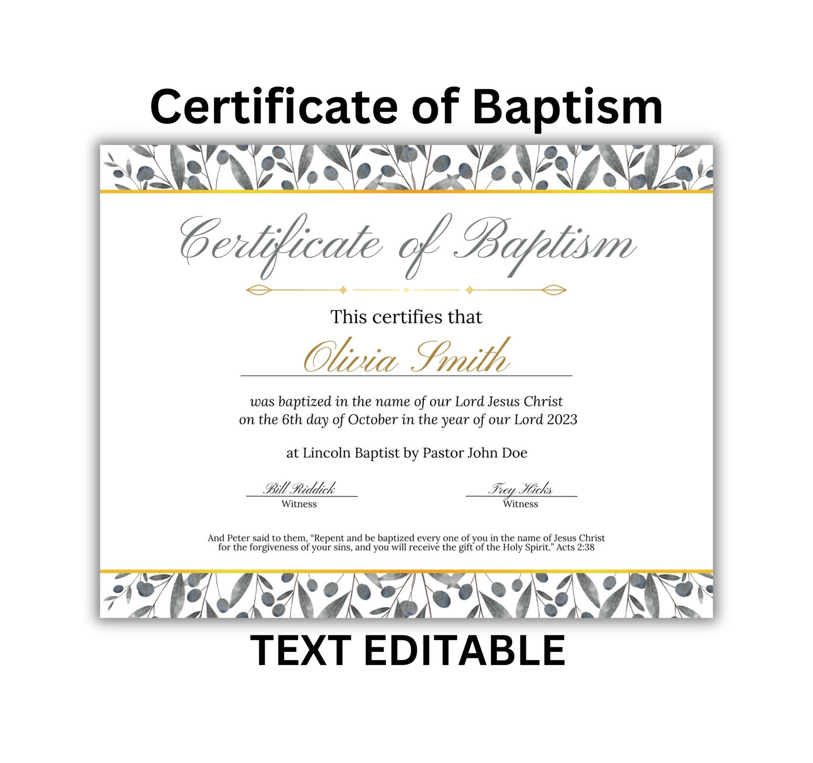 CERTIFICATE of BAPTISM TEMPLATE Customizable| Personalized Baptismal ...