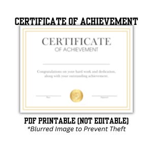 Leistungszertifikat Professional PDF | Modernes Design | Printable Auszeichnung | Sofortdownload | Einfach ausdrucken und ausfüllen