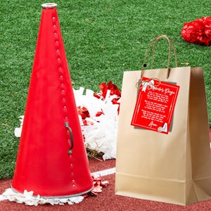 May include: A red megaphone with a white handle, a brown paper bag with a red and white gift tag that says "Cheerleader's Prayer", and white and red pom-poms on a green artificial grass surface.