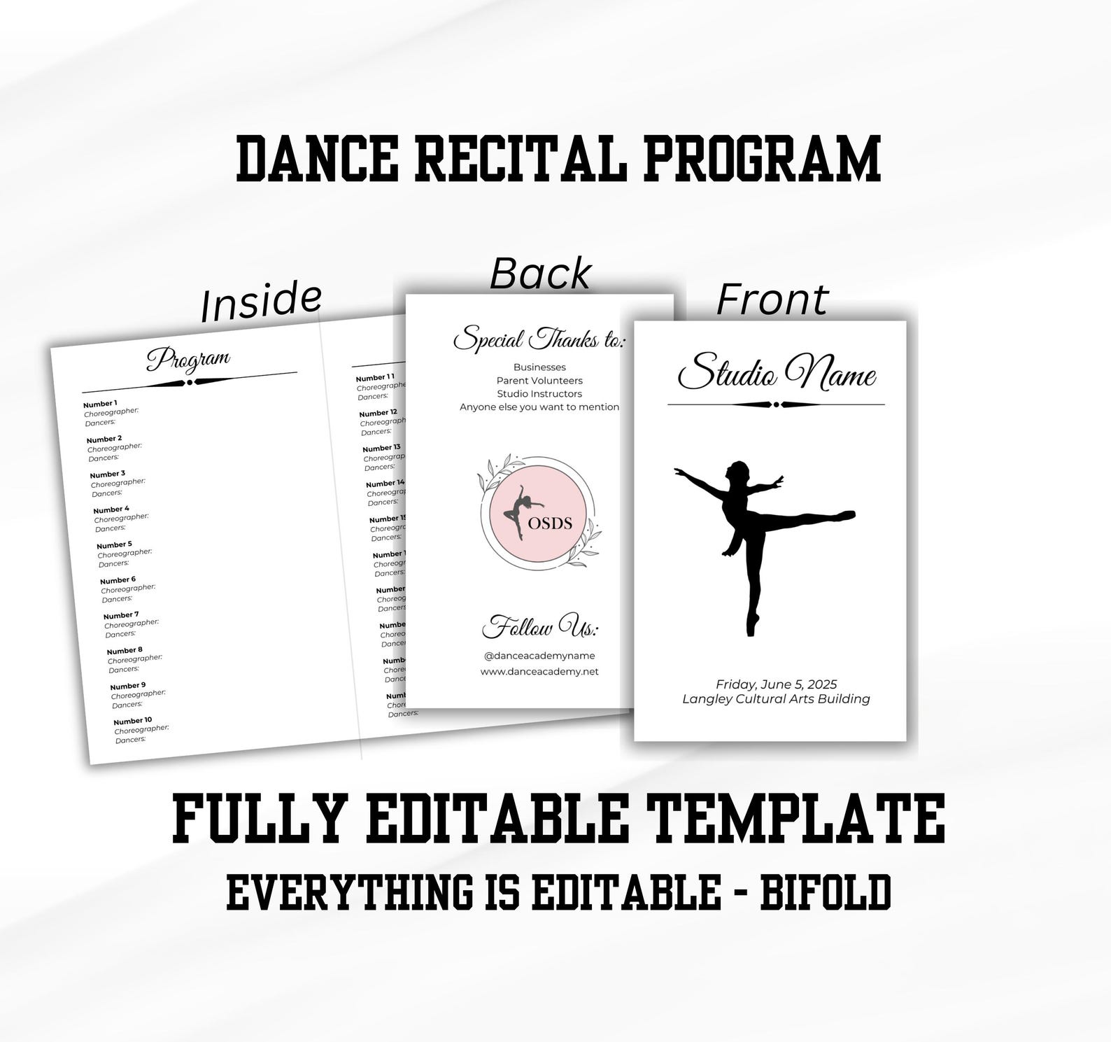 Dance Recital Program Template, Ballet Production, Great for Studios ...