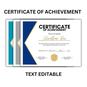Certificate of Achievement Professional Template | Customizable Training Certificate | DIY Recognition | Editable Business Award | Simple