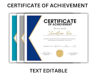 Certificate of Achievement Professional Template | Customizable Training Certificate | DIY Recognition | Editable Business Award | Simple