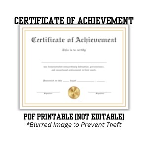 Leistungszertifikat Professional PDF | Modernes Design | Printable Auszeichnung | Sofortdownload | Einfach ausdrucken und ausfüllen