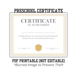 Leistungszertifikat Professional PDF | Modernes Design | Printable Auszeichnung | Sofortdownload | Einfach ausdrucken und ausfüllen