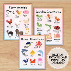Hawaiian Language Animal Basics Posters | Printable PDF