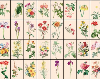 70 PCS Vintage Floral Collage Kit, 4 x 6”, Cottagecore, Nature, Botanical, Antique, Aesthetic, Digital download, Printable