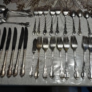 1847 Rogers Bros Reflection Silberplatte Lot Von 31 Stück