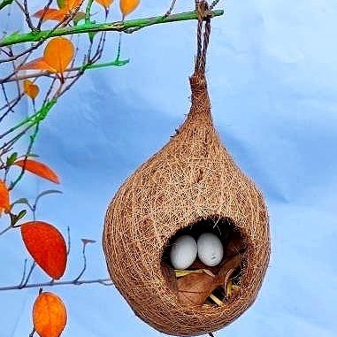 Creative Pet Bird House, Outdoor Bird Nest, Handmade Creative Pet Bird  House Outdoor, Hummingbird House Hanging 