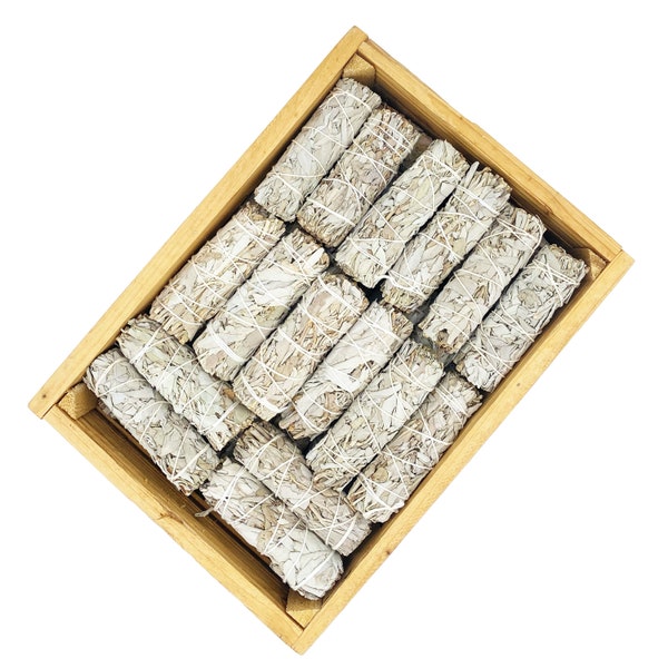 Bâtons de sauge blanche en vrac, en gros, Sauge cultivée de manière durable. Bâtonnets de 10cm, Qualité Premium