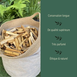 Wholesale Palo Santo Sticks, sustainably harvested in Peru, 10cm sticks Premium Quality Genuine Bursera Graveolens. image 6