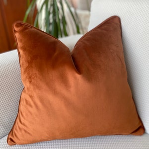 May include: A brown velvet throw pillow with a simple design. The pillow is sitting on a white couch.
