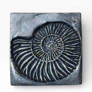 Könnte beinhalten: Ein quadratisches, metallisch aussehendes Objekt mit einem detaillierten, geprägten Fossil eines Ammoniten. Das Fossil hat eine spiralförmige Form mit komplizierten Linien, und das Objekt hat eine strukturierte Oberfläche. Die Farbe ist ein dunkles, gedämpftes Grau.