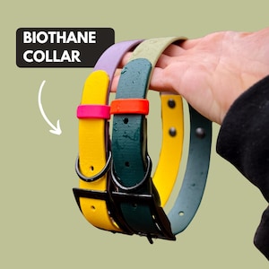 Waterproof Adjustable Biothane Dog Collar – This custom, colorful collar combines durable waterproof Biothane with a comfy adjustable fit. Perfect for dogs who love to swim, hike, and explore, it adds a pop of fun to any pup’s wardrobe while delivering reliability, comfort, and low-maintenance care.