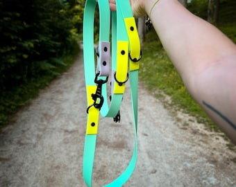 Handsfree Multifunktionellt Biothane Hundkoppel