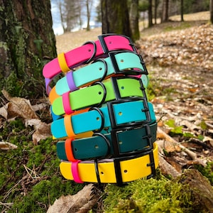 Colorful & Custom Biothane Dog Collar – Designed for active dogs and trendy owners, this waterproof collar is adjustable, strong, and bursting with fun personality. Made from high-quality Biothane that resists odors, water, and dirt, it’s the perfect blend of cute and functional dog gear that’s easy to clean and built to last.
