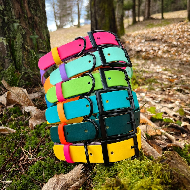 Colorful & Custom Biothane Dog Collar – Designed for active dogs and trendy owners, this waterproof collar is adjustable, strong, and bursting with fun personality. Made from high-quality Biothane that resists odors, water, and dirt, it’s the perfect blend of cute and functional dog gear that’s easy to clean and built to last.