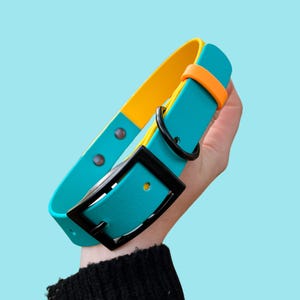 Tealy Adjustable Waterproof Biothane Collar with Belt Buckle | Tutti Frutty Collection, Adjustable, Durable, Colorful, Fun and Cute Dog Gear