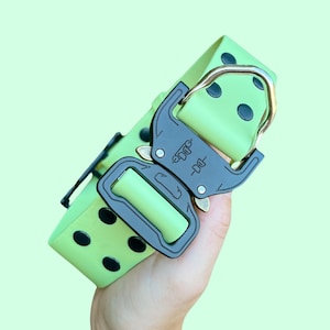Pastel Green Biothane Dog Collar: Waterproof, Heavy-Duty, Adjustable