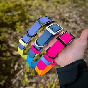 Custom Biothane Dog Collar: Waterproof, Durable, Adjustable Belt Buckle