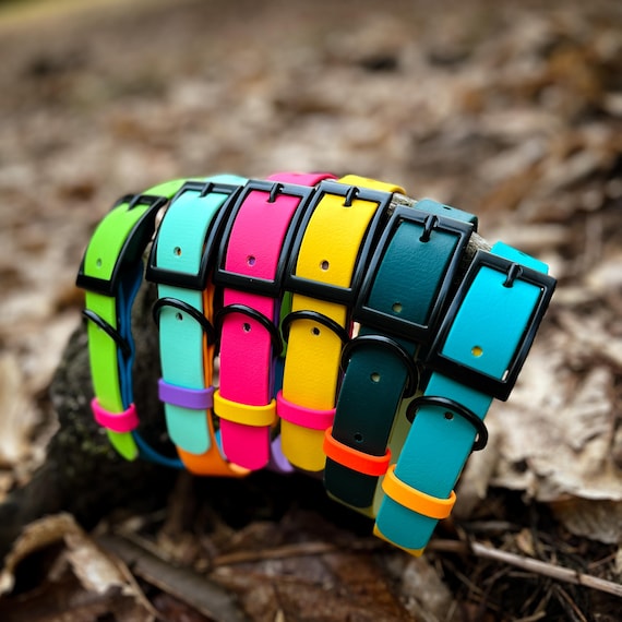 Custom Biothane Dog Collar: Waterproof, Durable, Adjustable