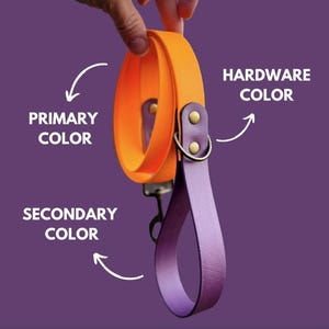 Op de afbeelding: Een oranje en paarse hondenriem met goudkleurige metalen onderdelen. De riem wordt getoond tegen een paarse achtergrond. De tekst op de afbeelding luidt "Primaire kleur", "Secundaire kleur" en "Hardware kleur".