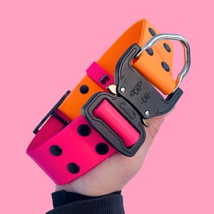 Può includere: Un vivace collare per cani in rosa neon e arancione, con dettagli neri e una robusta fibbia in metallo nero. Il collare presenta borchie circolari nere e un anello a D.