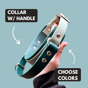 Peut inclure: Un collier pour chien bicolore avec une poignée, dans des tons de vert et de gris, tenu par une main. Le collier a une boucle argentée et est fixé avec des rivets. Le texte sur l'image indique "COLLAR W/ HANDLE" et "CHOOSE COLORS".
