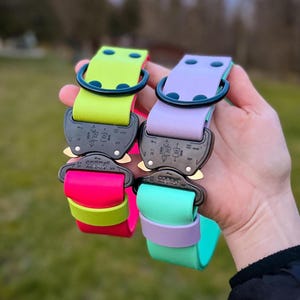 Op de afbeelding: Twee hondenhalsbanden met zwarte Cobra Pro Style gespen. De ene halsband heeft een neongele band met een felroze onderkant, terwijl de andere een lavendelkleurige band met een turquoise onderkant heeft. Beide hebben zwarte D-ringen en klinknagels.