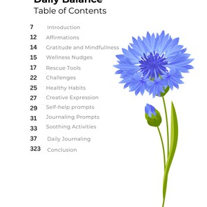 Op de afbeelding: Een pagina uit een dagboek getiteld "Daily Balance" met een inhoudsopgave. De pagina bevat een blauwe bloemillustratie. De inhoudsopgave bevat secties over affirmaties, dankbaarheid en schrijfopdrachten.