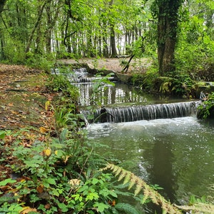 River scene digital download