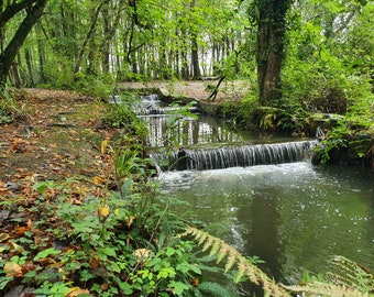 May include: A small waterfall cascades down a series of stone steps in a lush green forest. The water is clear and flowing, and the surrounding foliage is vibrant.