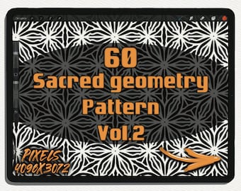 Vol.2: 60 Geometric Patterns with Unique Ornaments for Creative Designers and Tattoo Artists