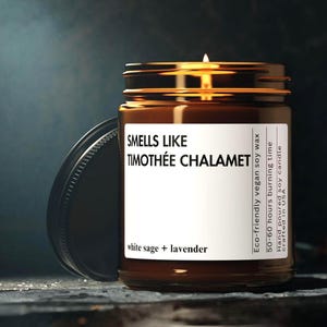 Smells Like Timothee Chalamet Custom Candle Celebrity Fan Gift Movie Star Magic Fun Home Accent Perfect for Fans Personalized gift for her