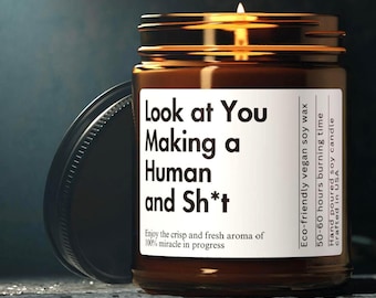 Look at You Making a Human Funny Candle Gift for Her Pregnant Mother's Day Gift Personalized Cute Pregnancy Candle Gift for New Mom Custom