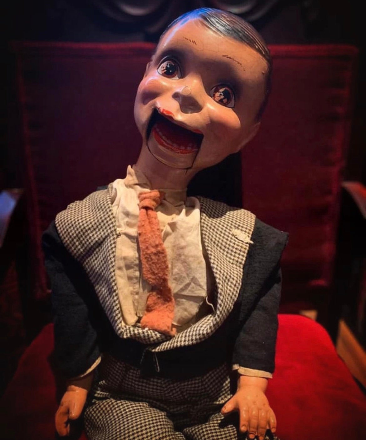 Chat marionnette poupée de ventriloque achat, MP058